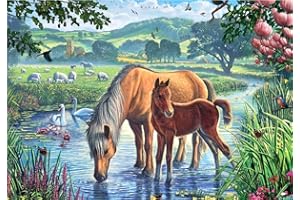 Meecaa Paint by Numbers Mother Horse Bird Creek Flower Kit for Adults Beginner DIY Oil Painting 16x20 inch (Horse, No Frame)