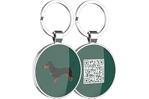 DISONTAG Medagliette per Animali Domestici, Medagliette per Cani Personalizzate, Medagliette per Cani Personalizzate, 41 Modelli realistici, Display informativo Unico | Modificabile