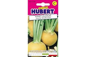 GRAINES HUBERT SEMENCES & ENGRAIS MAIROL Graines de Navet (Goldball) Jaune boule d'or - 4 grammes
