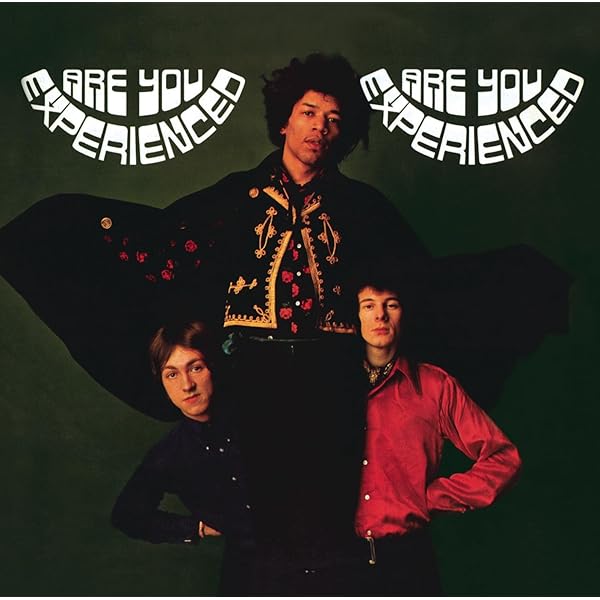 The Jimi Hendrix Experience (8-Lp Vinyl Box Set) [VINYL]: Amazon