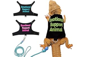 CQJ Bearded Dragon Lizards Clothes with Leash Set - Cute Lizard Reptile Small Animal Adjustable Harness Clothes for Walking Outdoor Security Costume Photo Prop (green)