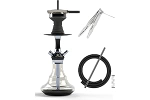 NOBLE HOOKAH 43 cm resa shisha set, liten Shisha Mini Shisha to go med högkvalitativa tillbehör – munblåst flaska och rostfritt stål downpipe 2 slangar och handtag