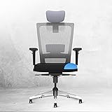 The Sleep Company SmartGRID Stylux Ergo High-Back Home & Office Chair | Patented SmartGRID Technology | SpinePro Adjustable C