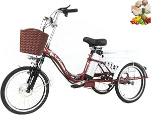 Triciclo per adulti Bicicletta elettrica a 3 ruote per genitori per  allargare il cestello posteriore 20 '' Triciclo servoassistito Batteria al  litio le uscite (Blocco bici gratuito + impermeabile) : Amazon.it: Sport e  tempo libero