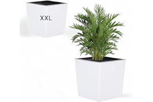 ‎MELTOM MELTOM XXL Pflanzkübel aus Kunststoff in Hochglanz Farbe: Weiß mit Herausnehmbaren Einsatz, BxTxH in cm: 39 x 39 x 41 cm, Eckig