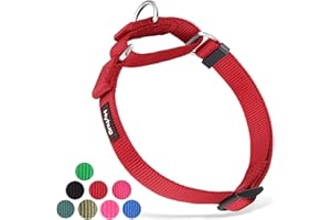 Hyhug Strong Nylon Non - Escape Martingale Dog Collar for Large Breeds Boy and Girl Dogs - Walking Training Daily Use. (Large, Red)