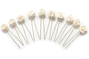 ‎FLEXISTORE 10 x Rosen auf Haarnadel - für flache Haarpartien - Brauthaarschmuck | G-F - Beige