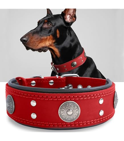 Meenzdog Hundeleine Handmade In Germany – 2m, 3-fach Verstellbar, Für Große Hunde Bis 80 Kg, Extrem Stabil & Waschbar