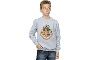 ABSOLUTE CULT Harry Potter Boys Hogwarts Crest Gold Ink Sweatshirt