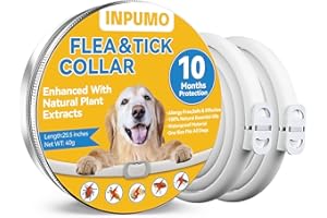 INPUMO Collare Antipulci Cane, Collare Antiparassitario Per Cani, 10 Mesi di Protezione Antiparassitario Cani Collari Antipulci e Zecche Naturali Impermeabili Regolabili da 65 cm (2 Confezione)