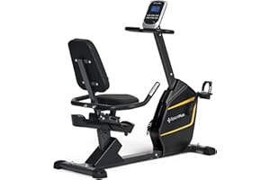 SportPlus Vélo fitness assis, Vélo d'appartement avec frein magnétique 24 niveaux de Résistance, siège extra souple, jusqu'à 200 Watts, Vélo d’appartement fitness pour seniors, Dernière édition