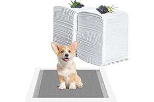 YADOBIG 100 Piezas Empapadores Perros, 33 x 45cm Carbón para Control de Olor Almohadillas Absorbentes, Almohadillas de Adiestramiento de Perros, Superficie de Secado Rápido