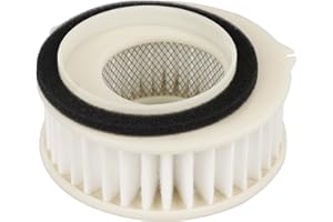 LOCOPOW Filtro de aire 4TR-14451-00 para Yamaha XVS 650 VStar 650 Classic 1998-2014 XVS650 V-Star 650 Custom Reemplazar HFA4607 1998-2011