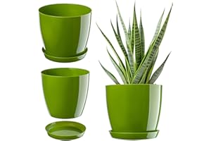 ‎KADAX KADAX Blumentopf, Pflanzkübel mit Untersetzer, runder Blumenkübel für Innen, eleganter Pflanztopf aus Kunststoff, Übertopf für Blumen, Pflanzen, Haus, leichtes Pflanzgefäß (Ø 20 cm, Grün)