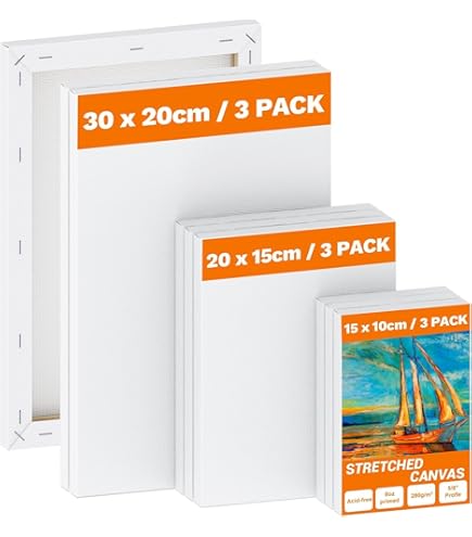 NINGYER 18 stuks canvas om te beschilderen, mini-canvas, vierkant, 10 x 10 cm, geschikt voor acryl- en kunstnijverheid en voor tekenen en schilderen (wit