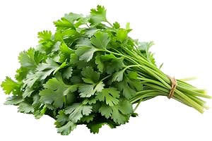Fresh Coriander Bunch Local