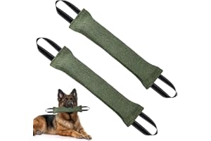 ZIYONIX 2Pz Manicotto per Cani 30cm Giocattolo per Cani Salsiccia Salsicciotto Cane Addestramento per Il Gioco Cuscino da Morso Interattivi per Can i con 2 Maniglia per l'Addestramento o per il Gioco (Verde)