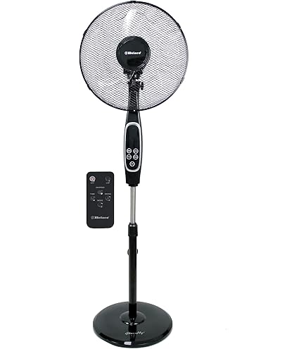 Ventilateur Mural - 16 Pouces - Télécommande - Roch RWF-1605R-D