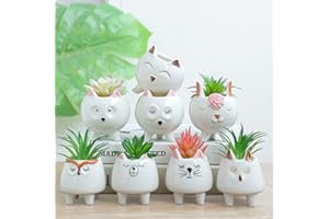 ARTKETTY 8 sztuk uroczych doniczek na sukulenty z otworem drenażowym, małe ceramiczne doniczki na sukulenty, małe pojemniki na rośliny kaktusowe do dekoracji wnętrz/na zewnątrz, 8 szt