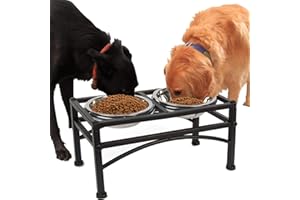SATOHA Funkeen Elevated Dog Bowls Raised Pet Feeder Food Water Diner Stand Set with 2 Removable Stainless Steel Bowls (Fit for Large Dogs / 2 Quarts)