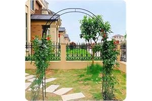 YOXALL Arche de Jardin en métal 120cm 200cm 240cm 280cm 300cm 340cm 160cm Large Arche de Mariage Arceau à Rosiers Plante Grimpantes (Color : Noir, Size : 160 x 220cm)