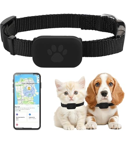 Wasserdichte AirTag-Hülle Für Halsband – Silikon-Halterung Für Hunde & Katzen, Grün