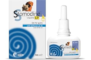 ICF Cif Stomodine Lp Gengive Gel, 50 ml