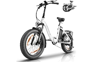 Vipdrive Bicicleta Eléctrica de Montaña 20''/24''/26'' x 4'' Fat Tire, Ebike con Batería de 48V 15Ah, Bici Eléctrica Adultos, Alcance de hasta 100 KM, 7 Velocidades y Pantalla LCD