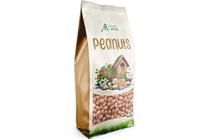 HUNGRY WINGS Premium Wild Bird Food 5L Refill, (5L Bag, Peanuts) (Packing may vary)
