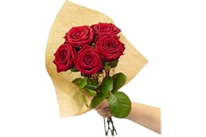 FLOWERBOX Red Passion Bouquet de roses fraîches, 5 tiges, longueur de la tige : env. 50 cm