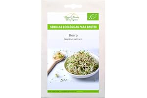 Semillas Bio para germinar brotes y micro green Bueno Bonito Biológico - 80G BERRO - Semillas para brotes y germinados Bio - Cultiva germinados frescos para comer
