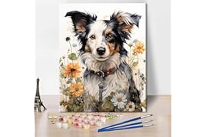 TISHIRON Border Collie Paint by Numbers for Adults Beginner, Dogs Animal Paint by Number Pets Sunflower Flower DIY Acrylic Painting Kits Kids Paint by Number Kits Arts for Adults, 16 x20 Inch