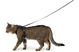 LucyBalu® Explorer Harnais Anti-Fugue avec Compartiment AirTag | Noir M/L