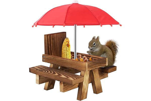 Mangeoire en Bois pour Écureuil avec Parapluie et Porte-Maïs - Station d'Alimentation Extérieure (Charbon de Bois)