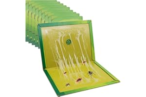 AN-WATTY 10 pezzi Trappole, Trappola Interno, Trappole Professionale, Trappola Grandi, Colla Ultra Adesive Senza Veleno