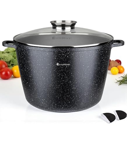 Royal Swiss Induktionskochtopf 28 Cm / 10 Liter – Mit Abnehmbaren Griffen & Antihaftbeschichtung | Für Alle Herdarten