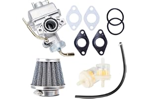 CarBole förgasare PZ20, med bränslefilter, lämplig för 50cc 70cc 90cc 110cc 125cc 110b NST SUNL Kina fyrtakt ATV fyrhjuling kart Dirt Bike CRF50F XL75 CRF80F XR50R