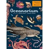 Oceanarium: 35 (El Chico Amarillo)