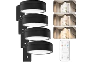 GBKDQQ Lot de 4 lampes d'image, à batterie avec télécommande, lampe de peinture, rechargeable avec 3 températures de couleur, intensité variable, affichage artistique, éclairage de vitrine, éclairage