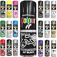 Classic Signature - 1 x All Purpose Black Gloss Aerosol Spray Paint 250ml Quick Drying Spray,Fast Dry and Excellent Coverage for Wood, Metal, Plastic and more