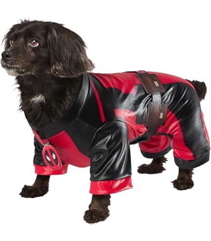 Star Wars - Déguisement Dewback pour Animaux, XL (Rubie's Spain 886582-xl