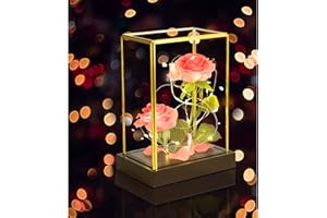 Santentre Eternal Rose,Preserved Rose Valentines Gifts for Her,Glass Rose, Beauty and The Beast Rose Birthday Gifts for Women,Her, Mum,Girlfriend,Wife