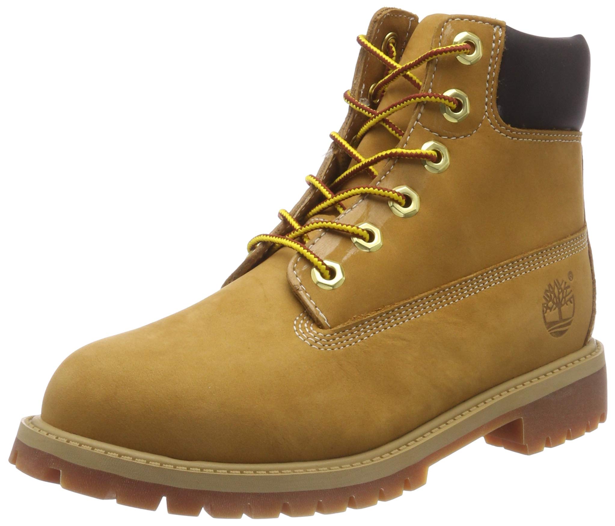 timberland clásicas