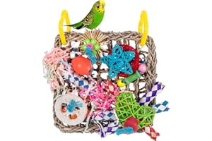 SRTSTR Giochi per Pappagalli, Giochi Pappagalli, Giocattoli da Masticare per Uccelli, Giocattolo da Parete Pappagallo Foraggiamento per Cockatiels, Pappagallini e Uccelli Adorabili