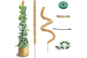 Chiluxendo 2 stycken 60 cm hopfällbart klätterväxtstativ, blomstång för växter, monstera-stöd, mosspol, mossstöd för monstra