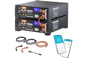 FEENCE Confezione da 2 batterie al litio LiFePO4 da 48 V, 100 Ah, 10,24 KWh, 48 V, con Bluetooth BMS da 100 A, per impianto solare, set completo, impianto fotovoltaico, camper, accumulo di energia