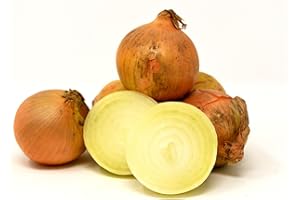 Lieferfrucht Speisezwiebeln 1 Kg Beutel , (1Er Pack)