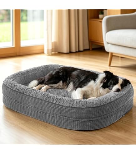 Croozer Dog Hundebett Grn Einheitsgre : Amazon.de: Haustier