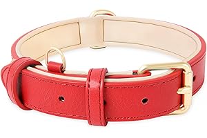 HEELE Collare Cane in Pelle, Imbottitura Morbida Resistente, Nuovo Colore dell'Imbottitura, Collare per Cani di Taglia Piccola, Media e Grande, Nuovo Rosso, S