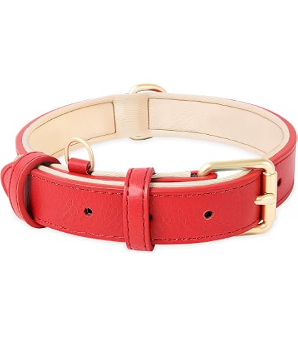 Nina Woof Copenhagen Hundehalsband Aus Veganem Leder – Gepolstert, Verstellbar, In Oliv Für Größe M